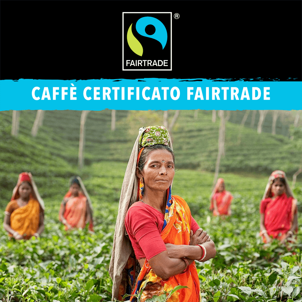 6 Caffè Fairtrade King Cup